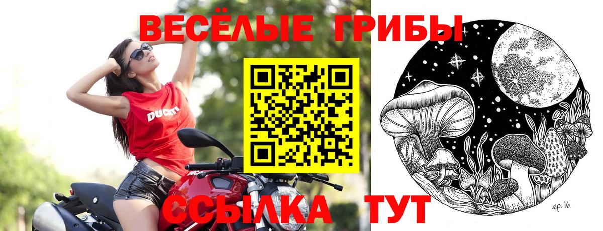 Галлюциногенные грибы мухоморы  Вход с VPN  Долгопрудный  Псилоцибиновые грибы ЛСД 
